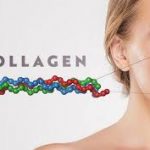 Tầm quan trọng của việc bổ sung collagen